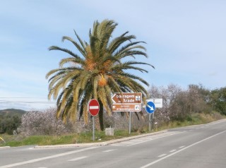Turn left at this road sign [Silves to Messines road]